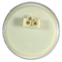 4” Round Light CLEAR